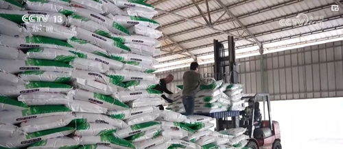 打通農(nóng)資供應(yīng)“最后一公里”，為新一季糧食生產(chǎn)開好頭、起好步